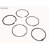 PISTON RINGS MAHLE PISTON RINGS MAHLE